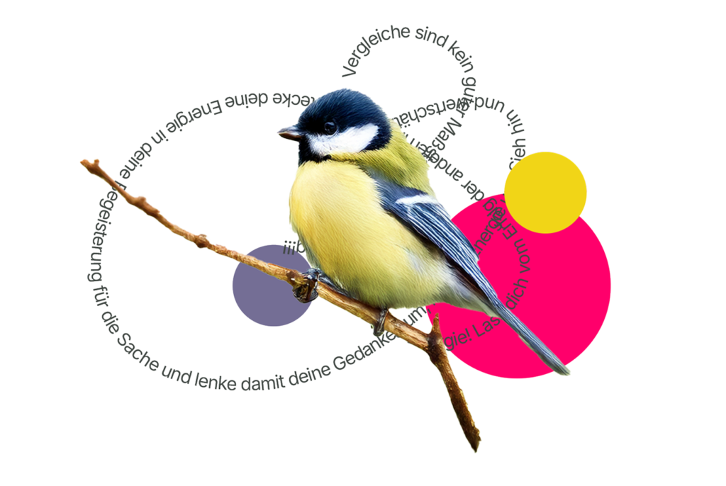 Freelance FarbeFormFunktion - Claudia Titze - Grafik mit Vogel